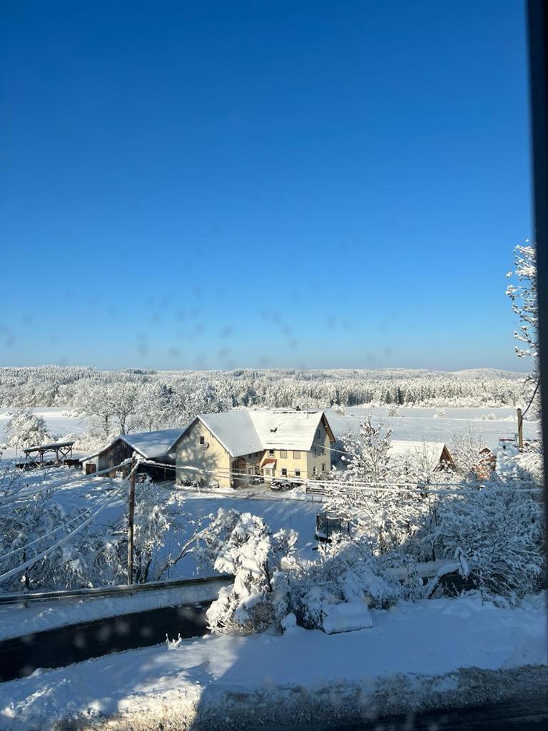 Fe Wo Brunnen - 120 Qm - Ruhige Lage - Viel Natur- Komfortabel - Grosser Balkon Und Garten Memmingen Buitenkant foto